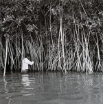 Jean-Yves Busson - Pêche - Grand Popo